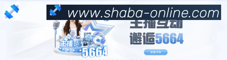 未来规划